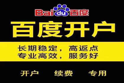 百度竞价包年案例：低成本高回报的广告策略